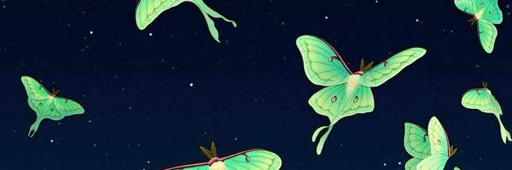 RochelleZombie's profile banner image