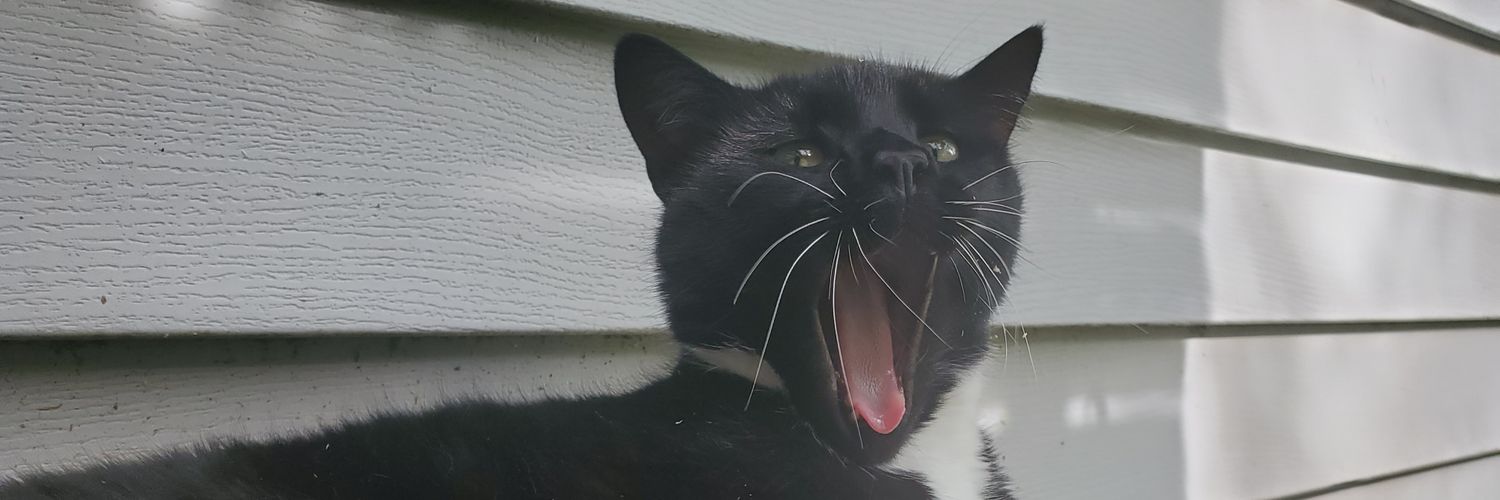 Rebecca Olson banner