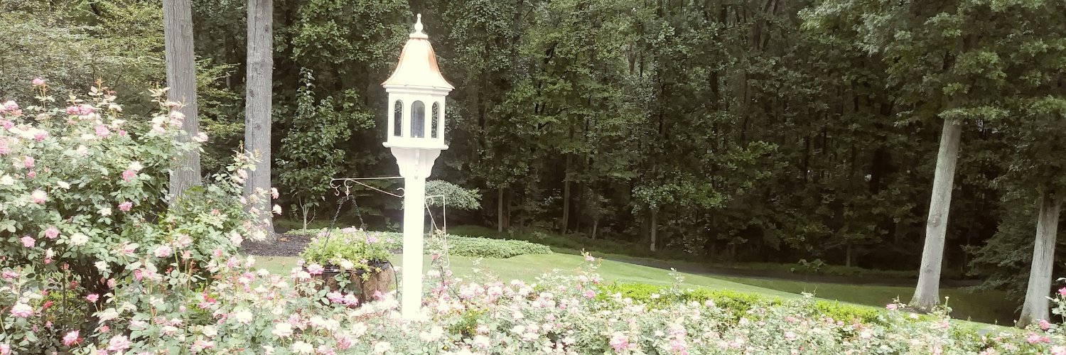 Alicia La Rotta banner