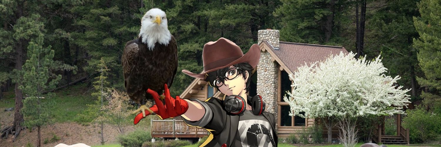 falynkx's profile banner image