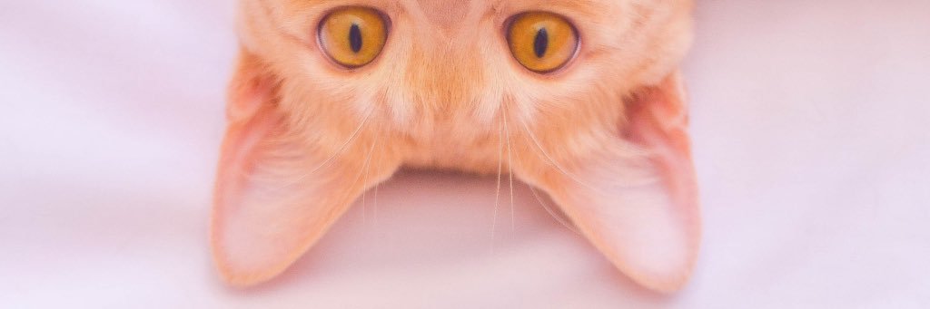 FathiahMS's profile banner image