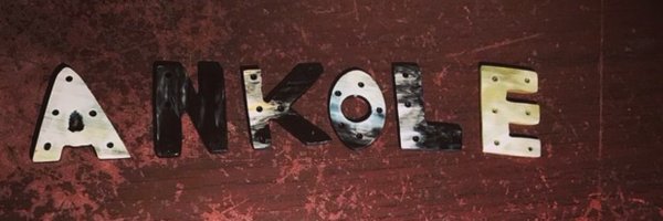AnkoleArchives Profile Banner