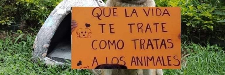 patt banner