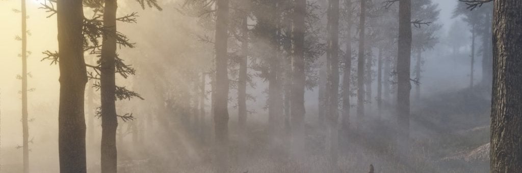 LoyaIRedemption's profile banner image