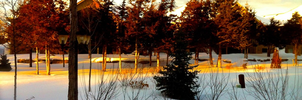 Malcolm Rogge banner