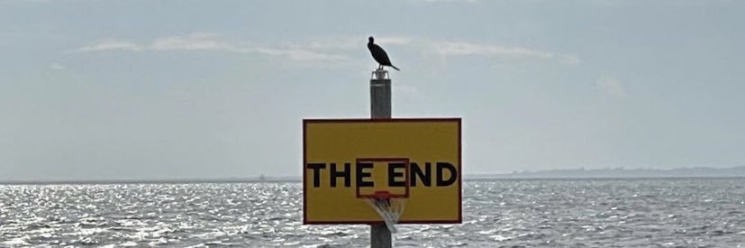 Liz 🦋 🇺🇸 banner