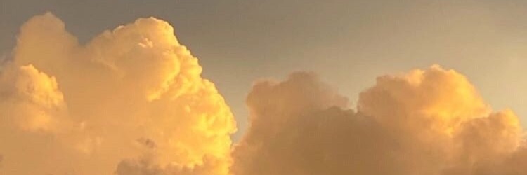 MoleHelen's profile banner image