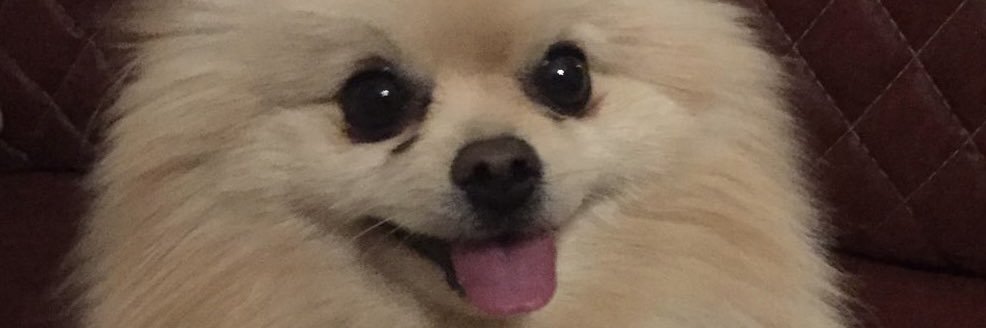DilanBulat's profile banner image