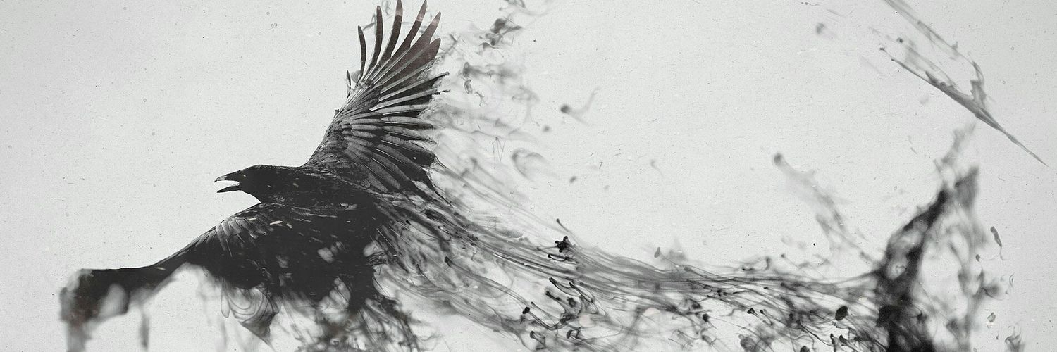 the_third_Raven's profile banner image