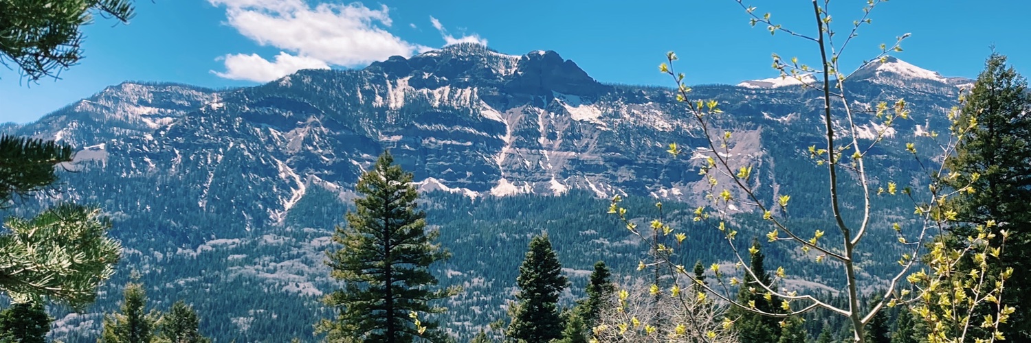 craig porter stan account banner