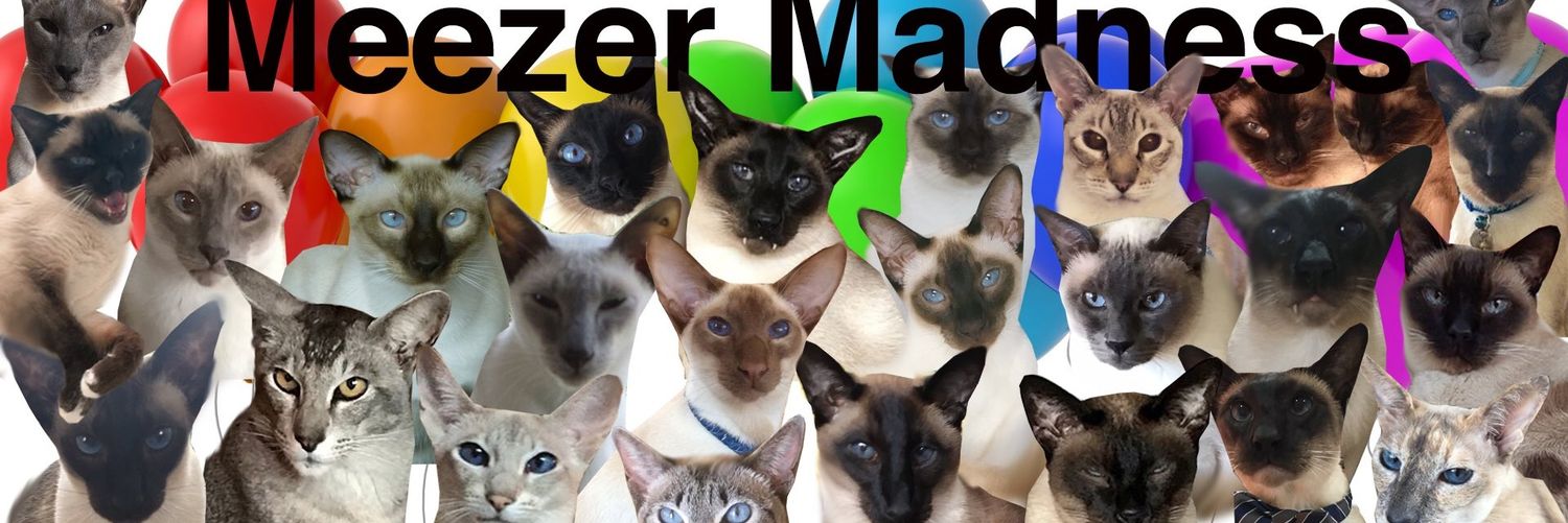 Macey, Moos, Sockuh + Stripey! banner