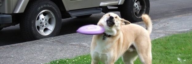 its_foolproof_'s profile banner image