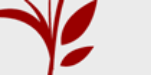 sandramourarj's profile banner image