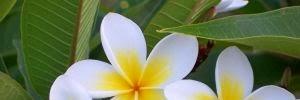eri_seti's profile banner image
