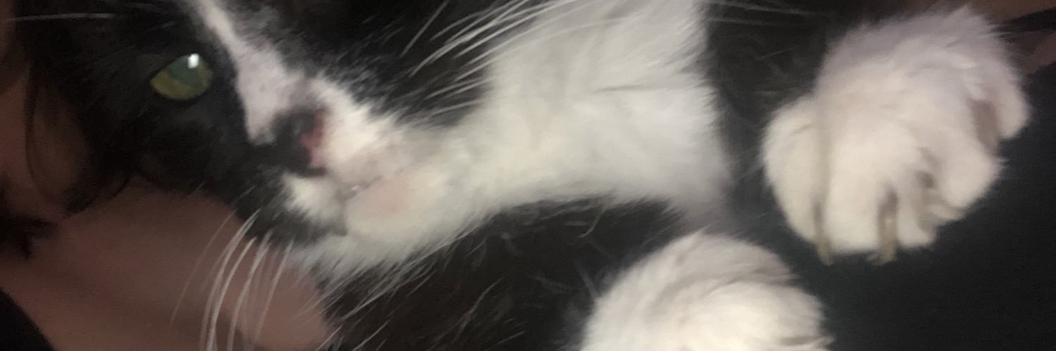 mimimcmc's profile banner image