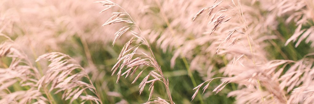 NaturallyHappy_'s profile banner image