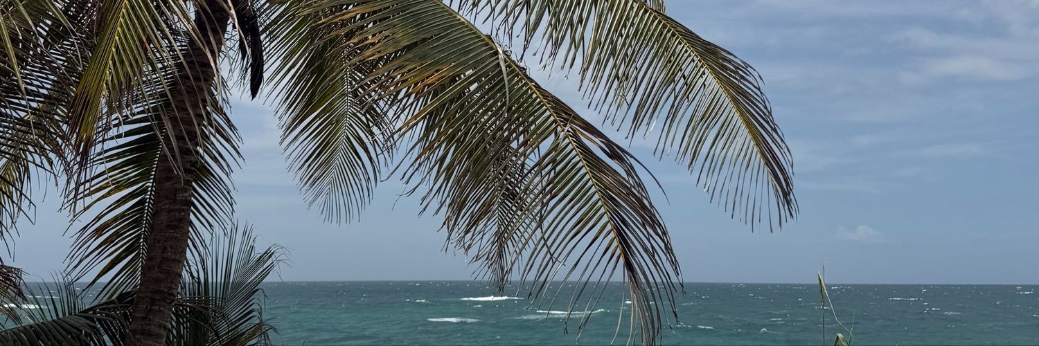 amakaripr's profile banner image