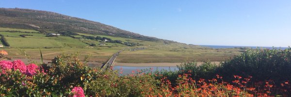 LiamMc_Carthy Profile Banner