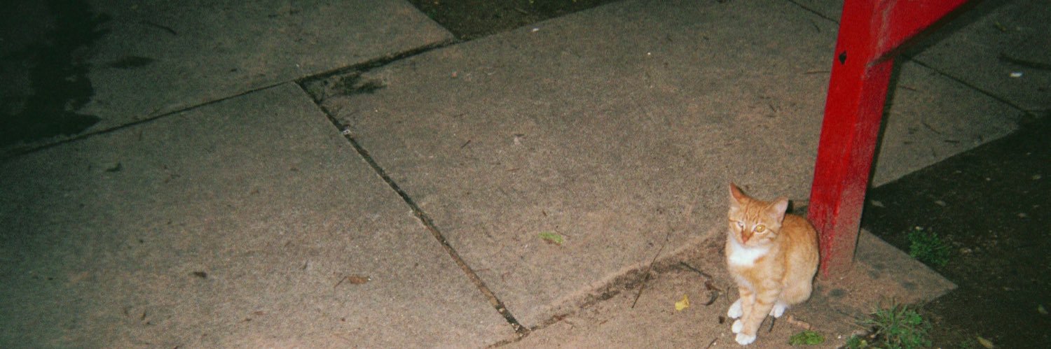 joel from instagram banner