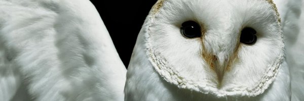 vanne3Q Profile Banner