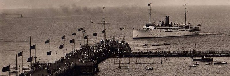 TomKo🇵🇱🇪🇺🇺🇸🌍 #FBPE ***** ***🐕🌳DM⛔️🇺🇦 banner