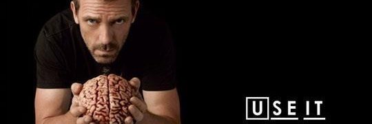 DerVegetarier's profile banner image