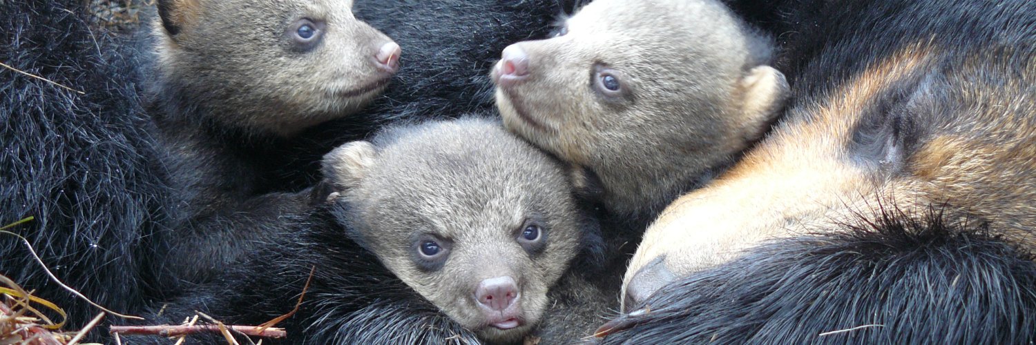 mn_wildlife's profile banner image