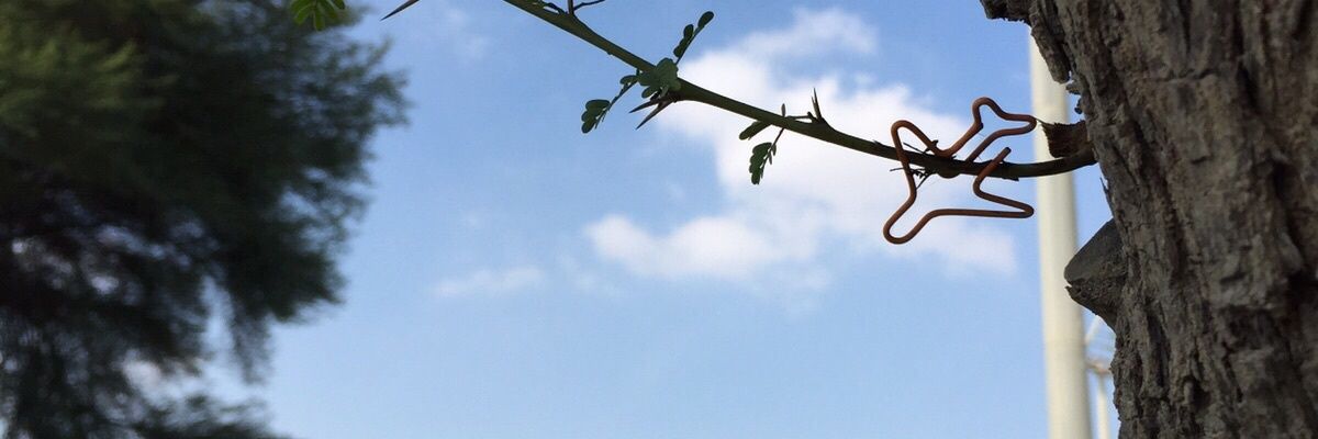 Felicity Shamoon banner