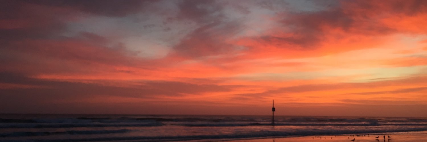 _michwouters's profile banner image
