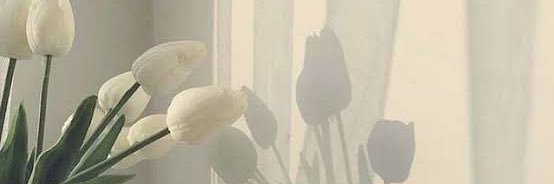 Ne banner