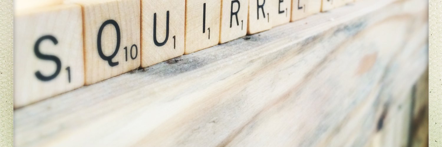 SquirrelChop's profile banner image