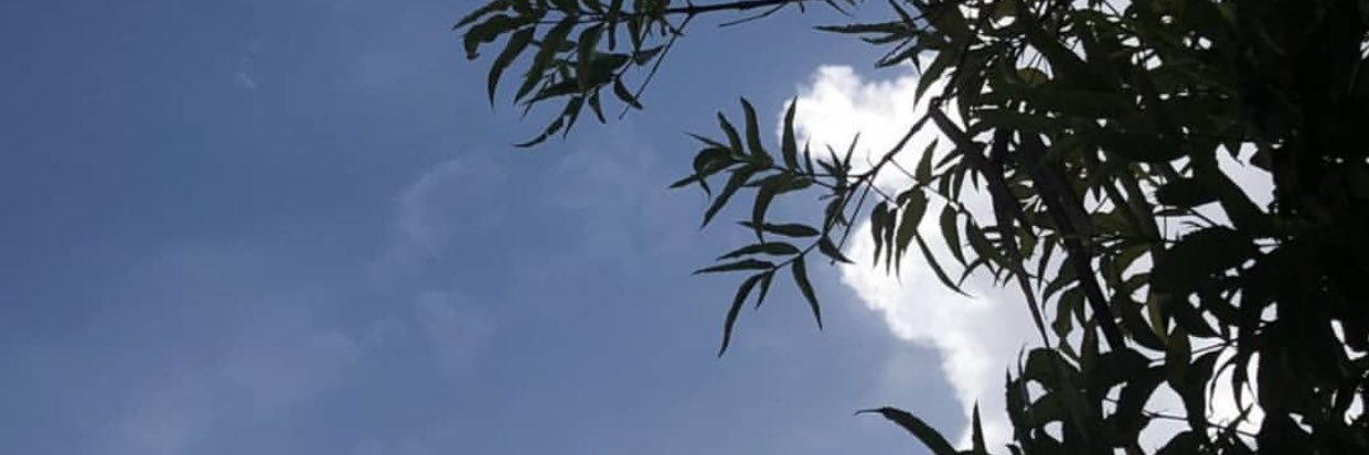 alberTariq's profile banner image