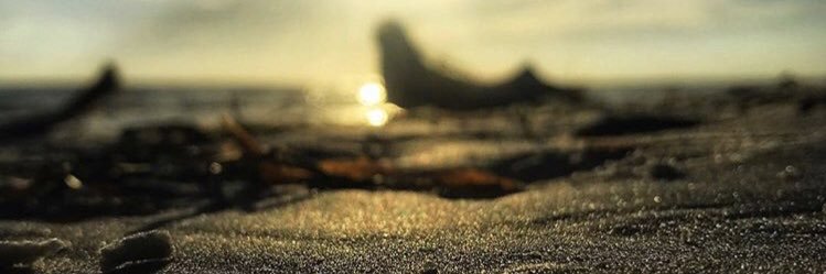 FLAlaskaGirl's profile banner image
