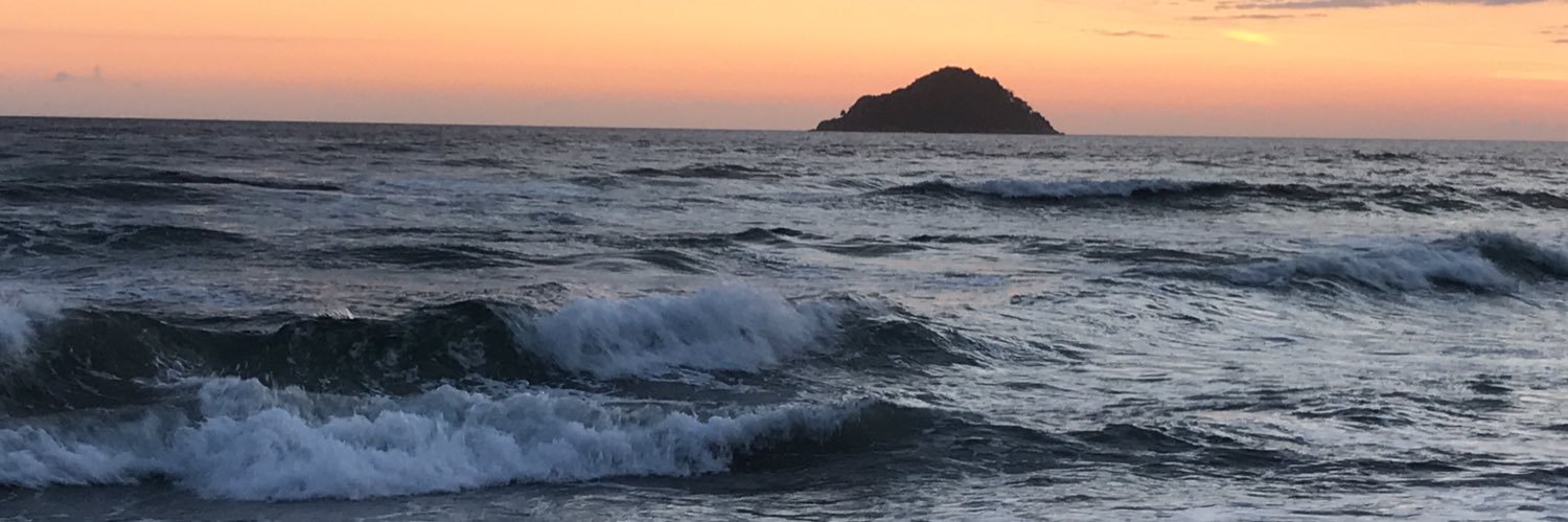 Lene Rodrigues banner