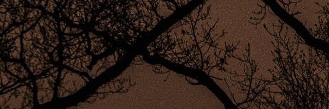 ตัวน้อยนึง banner