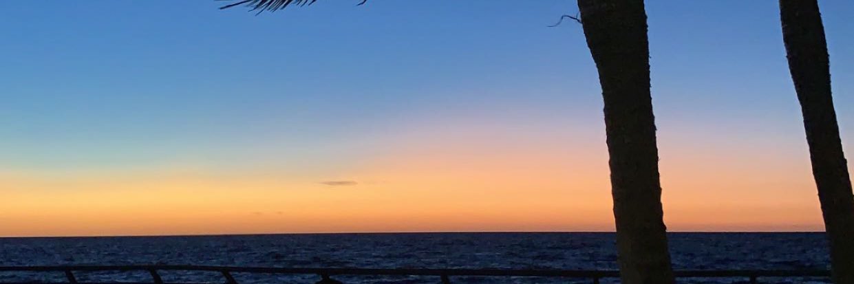 . banner