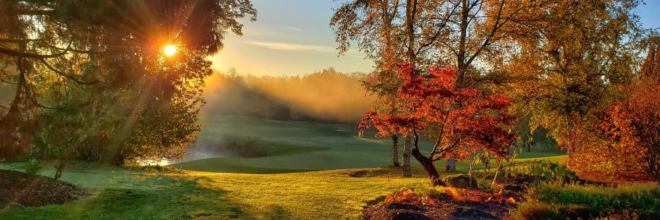 morgancreekgolf's profile banner image