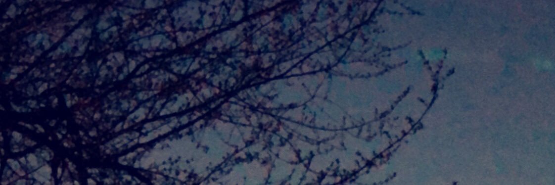 jjacob8440's profile banner image