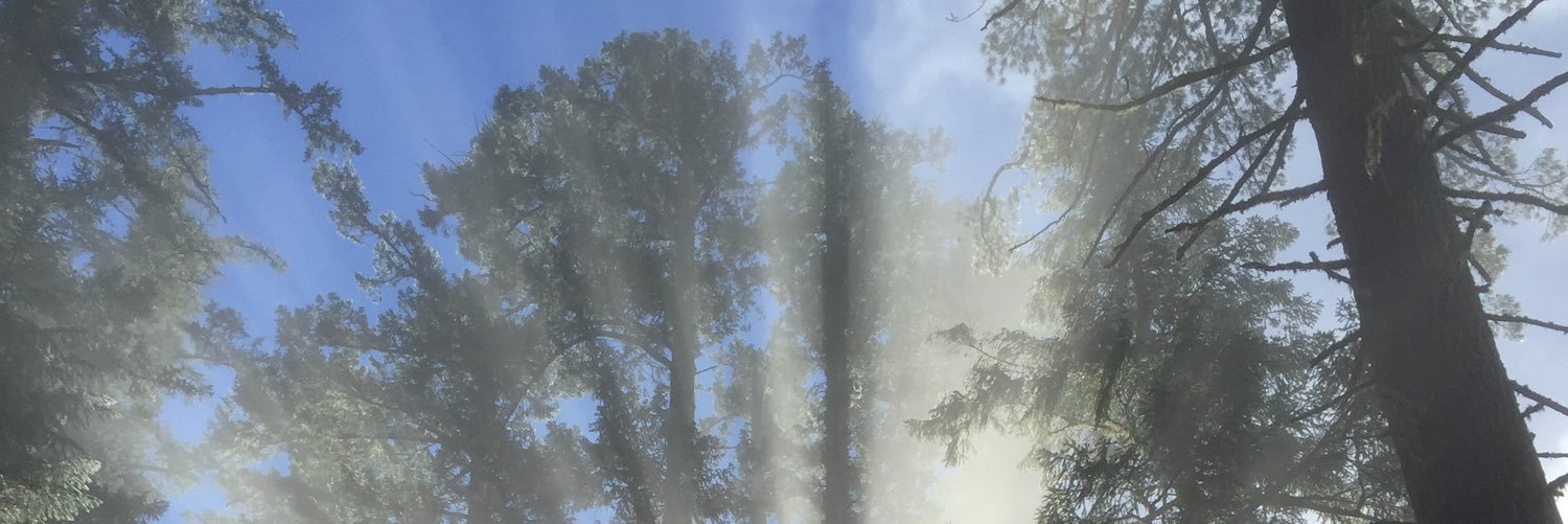 BradConverse's profile banner image