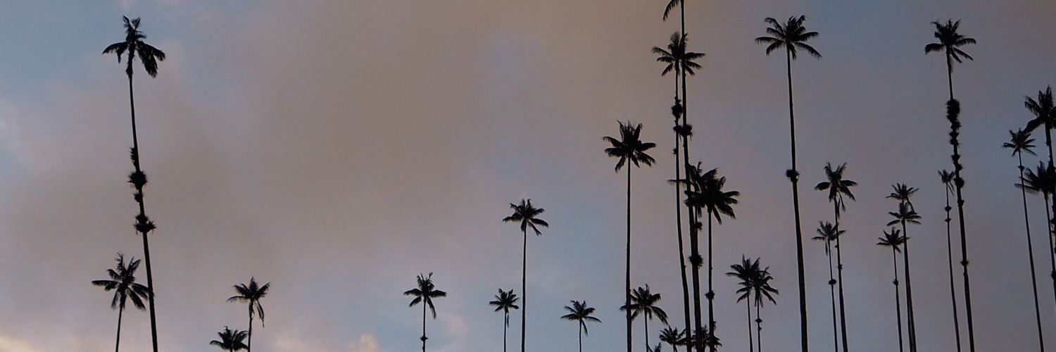 santajara's profile banner image
