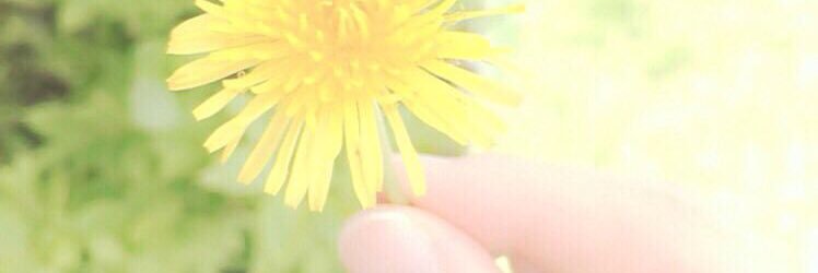___Salt17's profile banner image