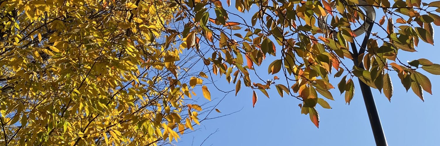 saaa_ya71's profile banner image