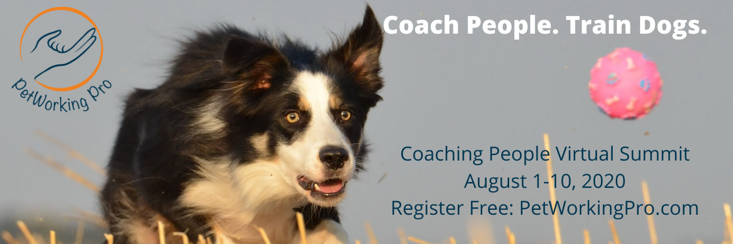 PetWorkingPro's profile banner image