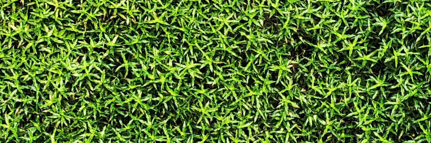 DMirheydari's profile banner image