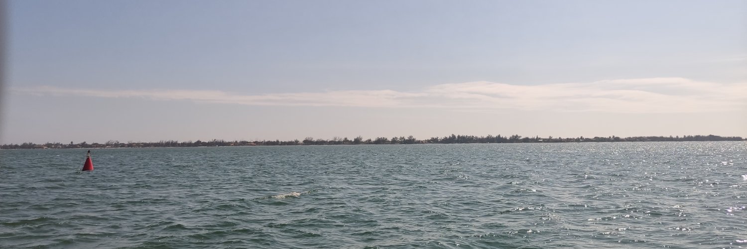 rodrigocaemusic's profile banner image