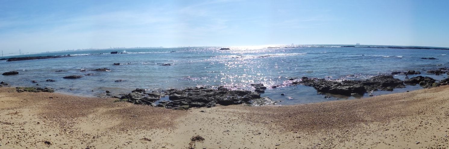 Javier Martín. banner