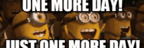 mcnock💻🐨 🏴‍☠️ Here til the end, #xclub banner