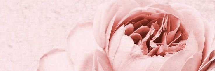 scorpiosuzie's profile banner image