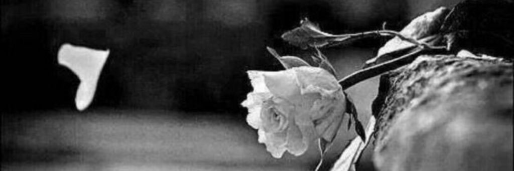 LOVE_smoress's profile banner image