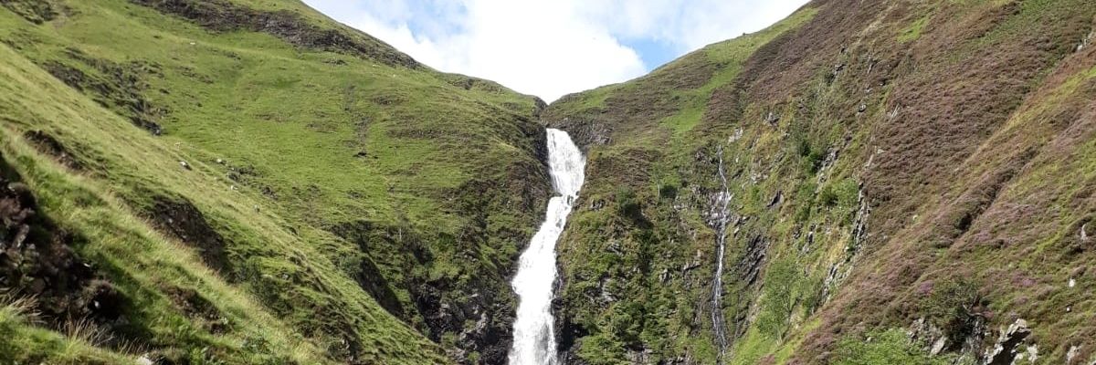 bigal5443's profile banner image
